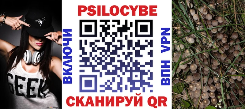 Псилоцибиновые грибы Psilocybine cubensis как найти закладки blacksprut рабочий сайт Среднеуральск